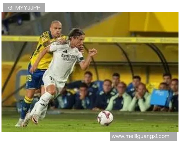 维尼修斯在皇马的崛起之路与新王登基的传奇旅程